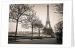 Pathway to Eiffel tower, Paris by Assaf Frank